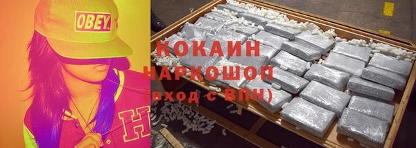 дмт Белокуриха