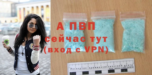 дмт Белокуриха